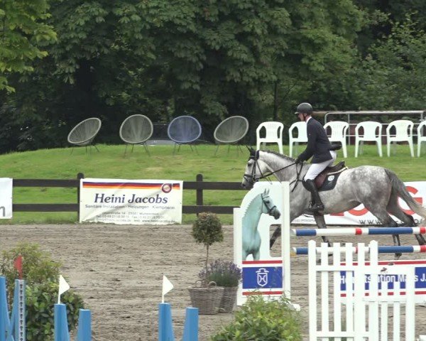Reitturnier Breitenburg 2024