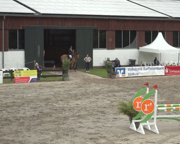 Reitturnier Breitenburg 2024