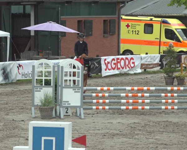 Reitturnier Breitenburg 2024