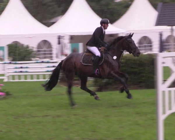 Reitturnier Nienburg 2024