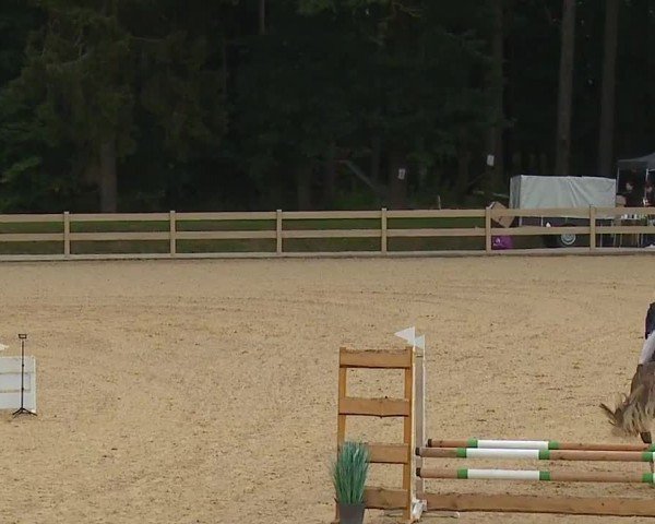 Reitturnier Tiefenhof/Opf. 2024