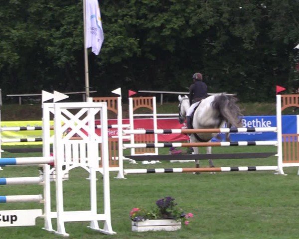 Reitturnier Nienburg 2024