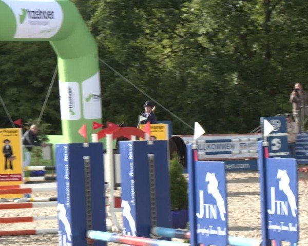 Reitturnier Großenwiehe 2024