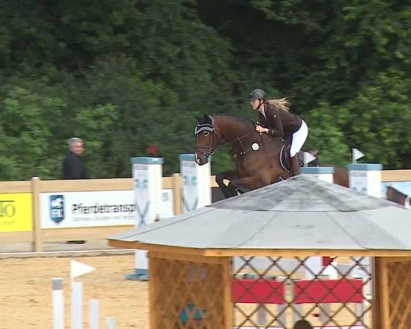 Reitturnier Tiefenhof/Opf. 2024