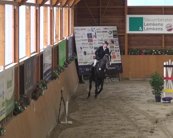 Springturnier Xanten - Reitanlage Miss 2021