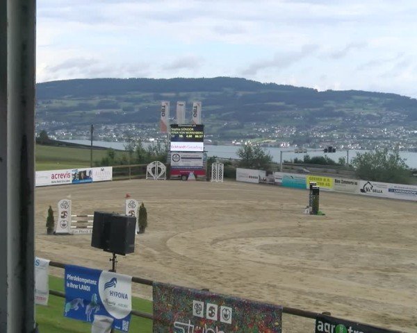 Reitturnier Wädenswil 2024