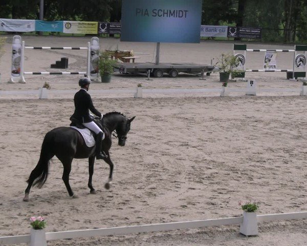 Reitturnier Erkrath - Uhlenhof 2024