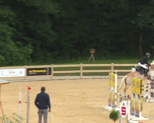 Reitturnier Tiefenhof/Opf. 2024