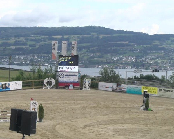 Reitturnier Wädenswil 2024