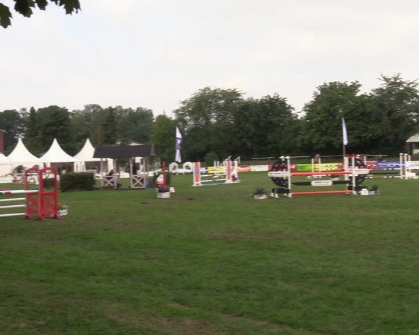 Reitturnier Nienburg 2024
