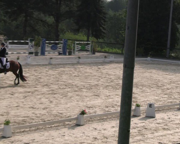 Reitturnier Erkrath - Uhlenhof 2024