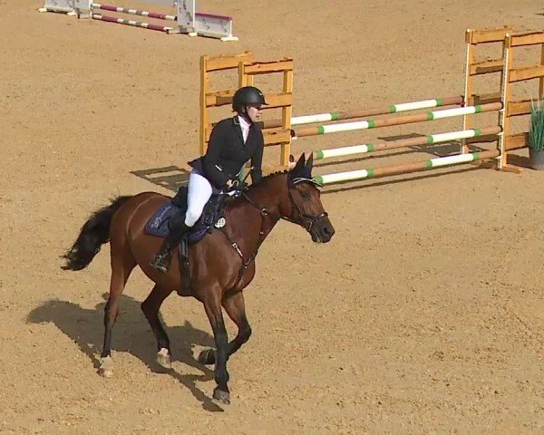 Reitturnier Tiefenhof/Opf. 2024