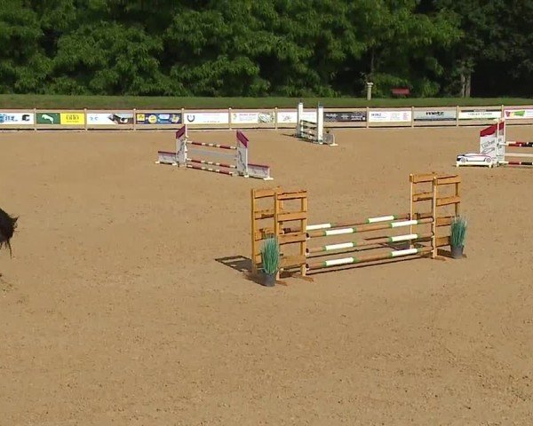Reitturnier Tiefenhof/Opf. 2024