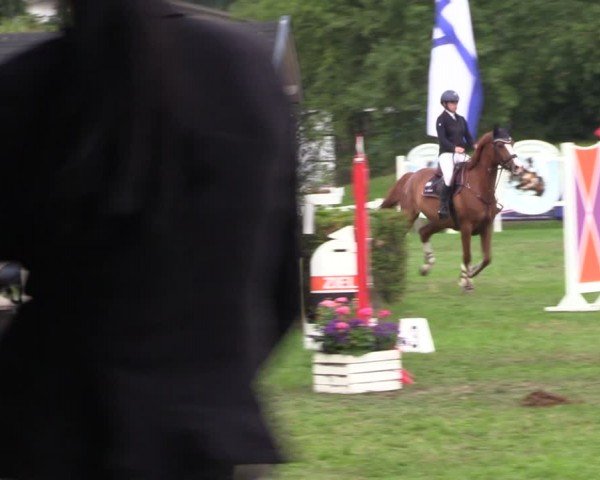 Reitturnier Nienburg 2024