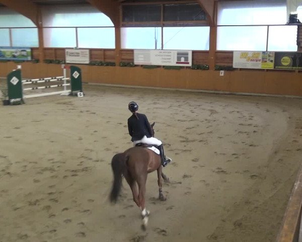 Springturnier Xanten - Reitanlage Miss 2021