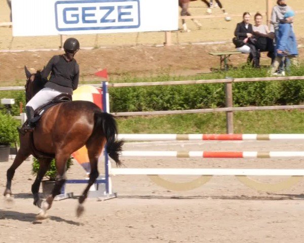 Reitturnier Waldenbuch-Hasenhof 2024