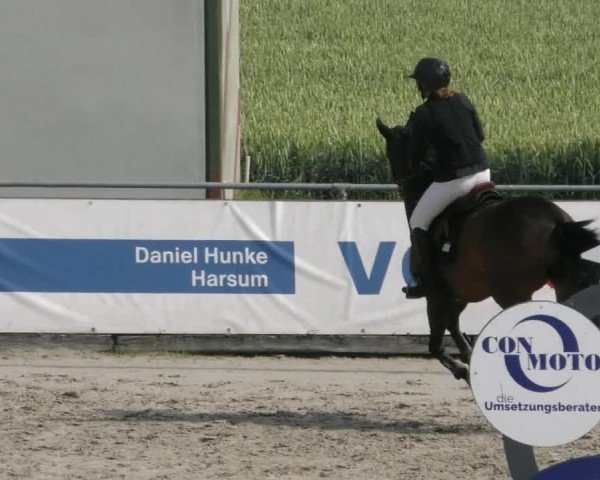 Reitturnier Harsum-Hüddessum 2024