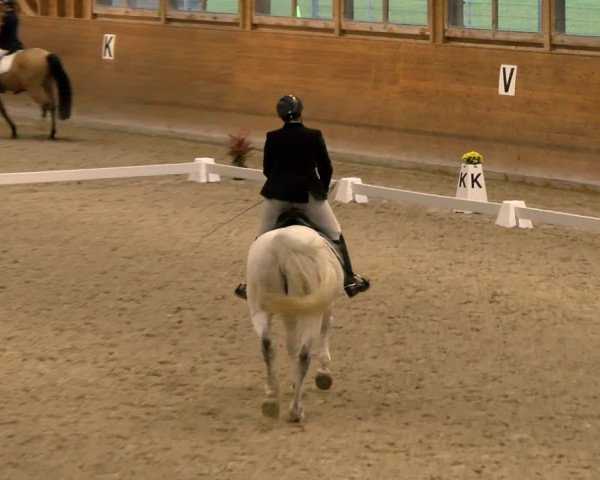 Reitturnier Rüti 2021