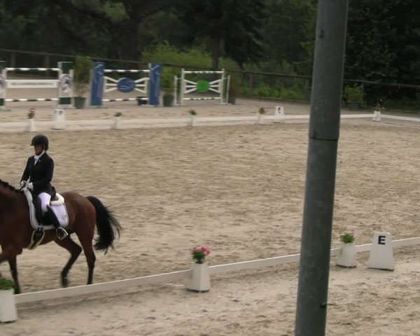 Reitturnier Erkrath - Uhlenhof 2024