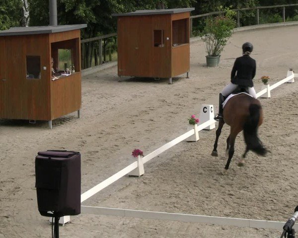 Reitturnier Erkrath - Uhlenhof 2024