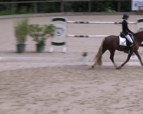 Reitturnier Erkrath - Uhlenhof 2024