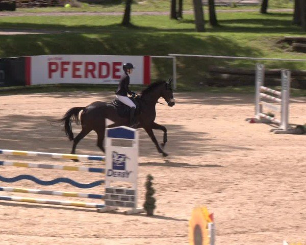 Reitturnier Stadl-Paura 2024
