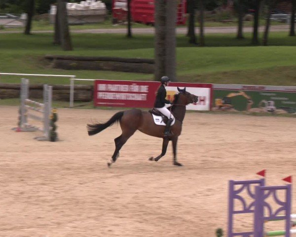 Reitturnier Stadl-Paura 2024