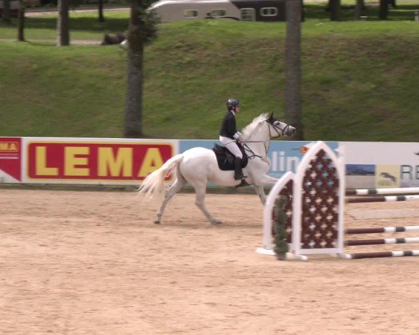 Reitturnier Stadl-Paura 2024