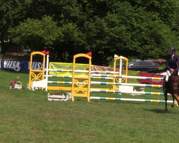 Reitturnier Nienburg 2024