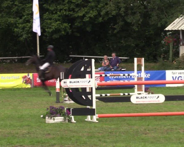 Reitturnier Nienburg 2024
