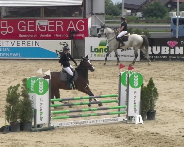 Reitturnier Wädenswil 2024