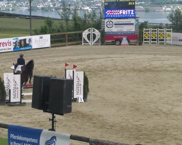Reitturnier Wädenswil 2024