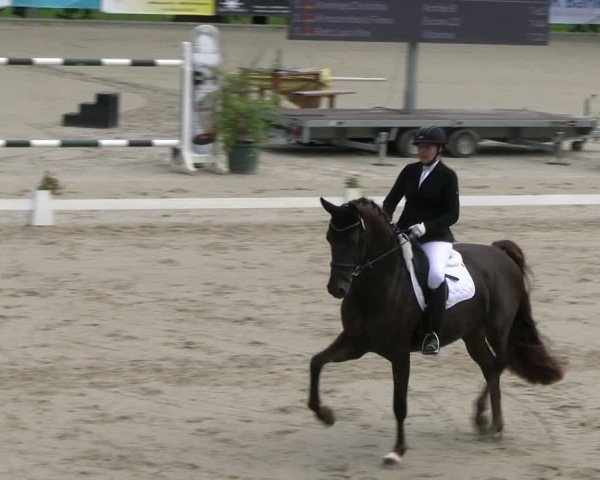 Reitturnier Erkrath - Uhlenhof 2024
