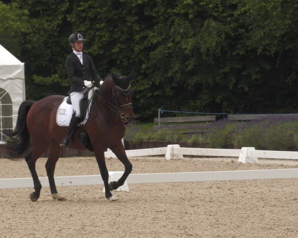 Reitturnier Lindlar - Reitanlage Dückers 2024
