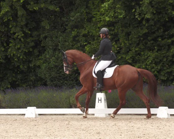 Reitturnier Lindlar - Reitanlage Dückers 2024
