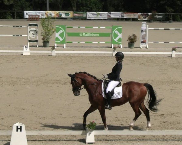 Reitturnier Erkrath - Uhlenhof 2024
