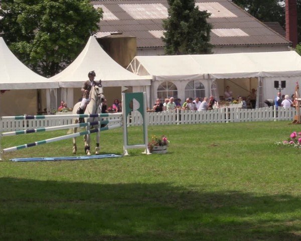 Reitturnier Nienburg 2024