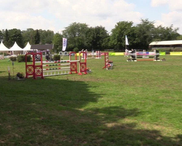 Reitturnier Nienburg 2024