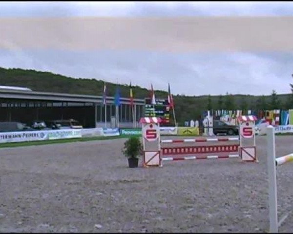 Westfälische Meisterschaften 2012