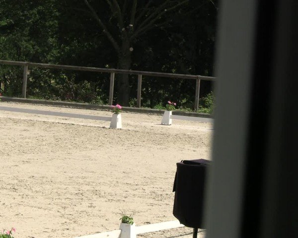 Reitturnier Erkrath - Uhlenhof 2024