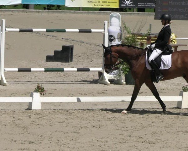 Reitturnier Erkrath - Uhlenhof 2024