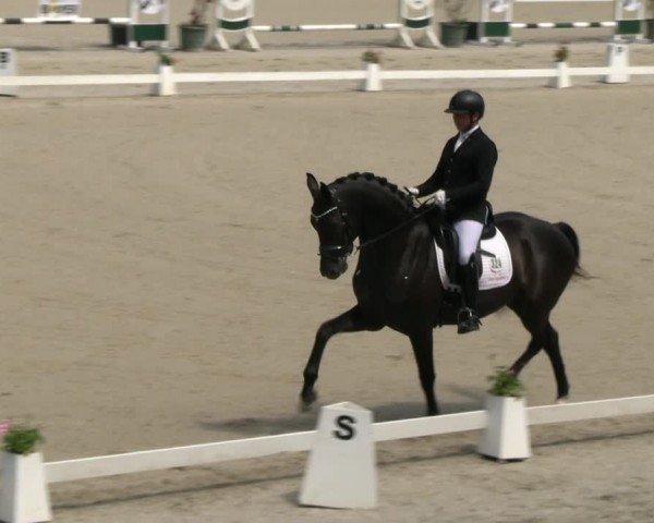 Reitturnier Erkrath - Uhlenhof 2024