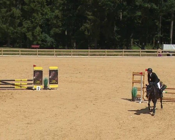 Reitturnier Tiefenhof/Opf. 2024