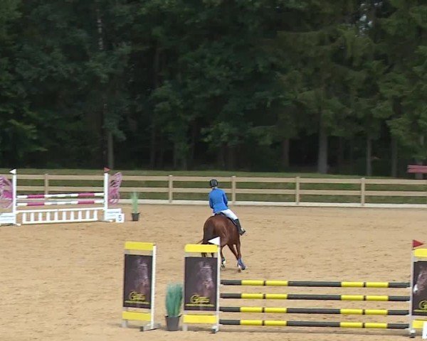 Reitturnier Tiefenhof/Opf. 2024