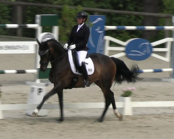 Reitturnier Erkrath - Uhlenhof 2024