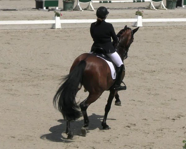 Reitturnier Erkrath - Uhlenhof 2024