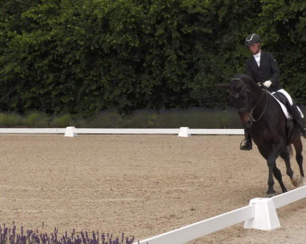 Reitturnier Lindlar - Reitanlage Dückers 2024