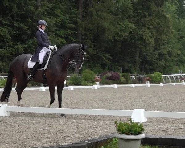 Reitturnier Grüningen 2024