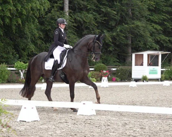 Reitturnier Grüningen 2024