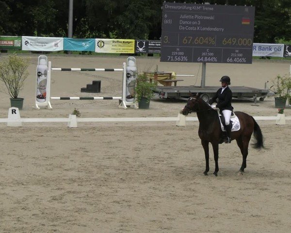 Reitturnier Erkrath - Uhlenhof 2024